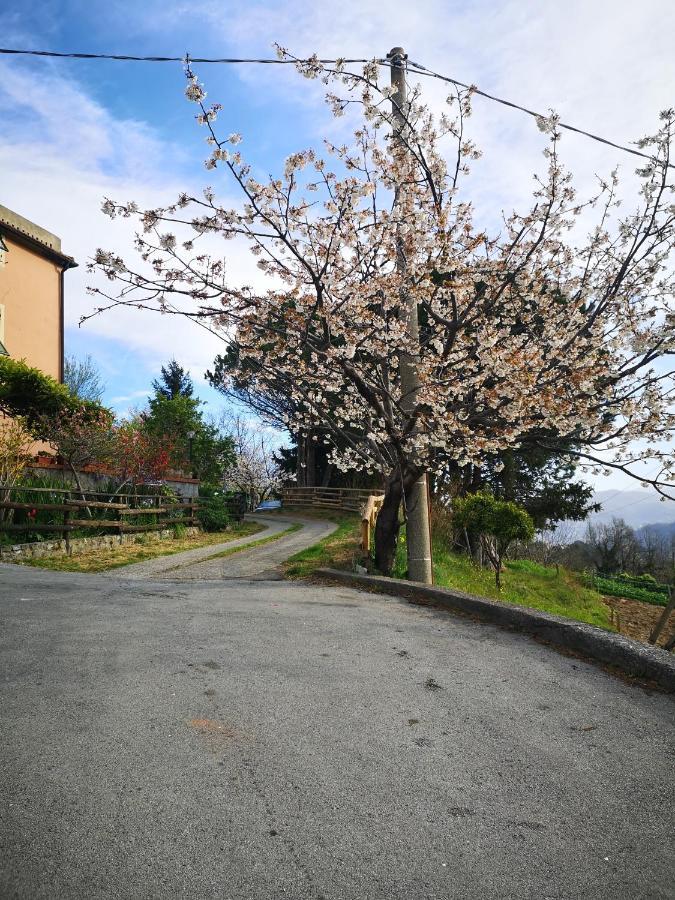 B&B Genova Country Fegino Extérieur photo